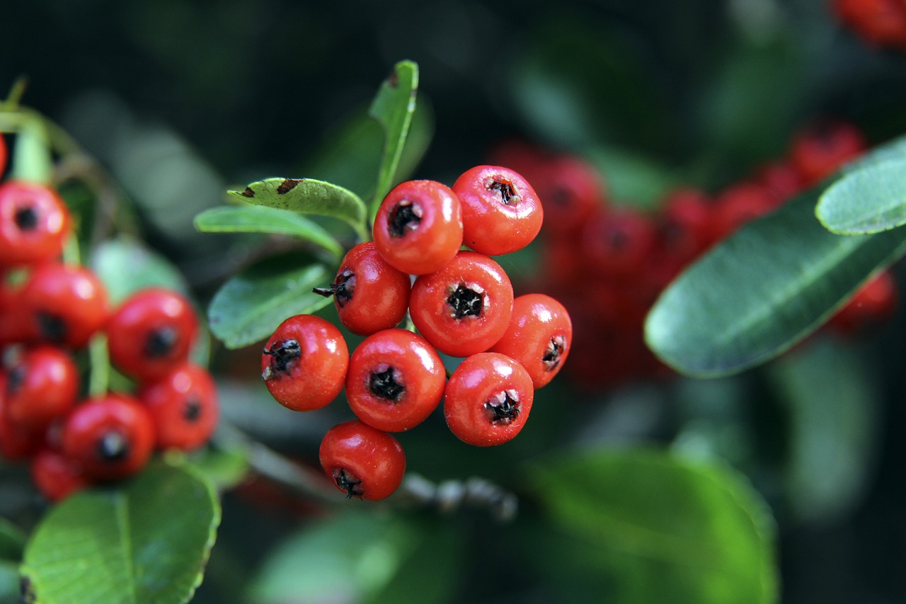 使得浙江队 使得浙江队