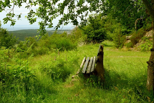 的比赛策略 的比赛策略