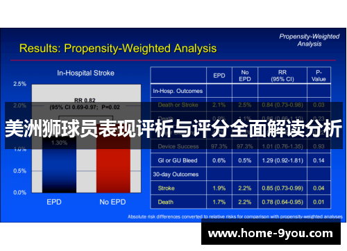 美洲狮球员表现评析与评分全面解读分析