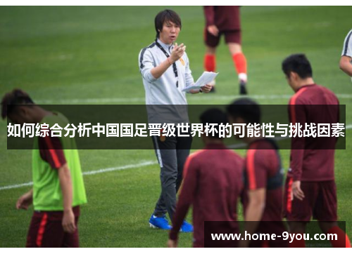 如何综合分析中国国足晋级世界杯的可能性与挑战因素