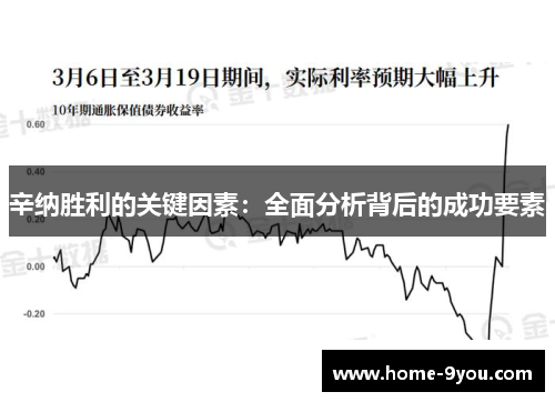 辛纳胜利的关键因素：全面分析背后的成功要素